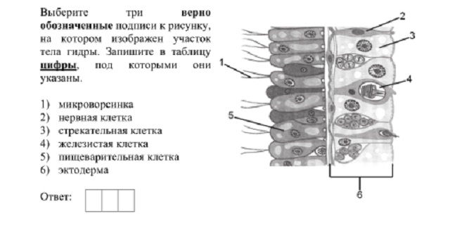 Кракен актуальная ссылка