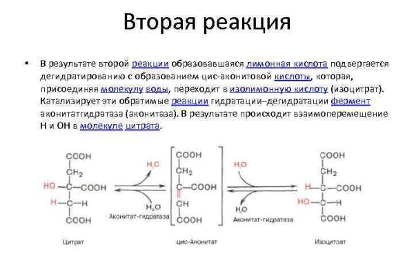 Браузер кракен